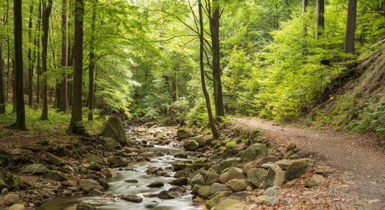 ilsetal, harz