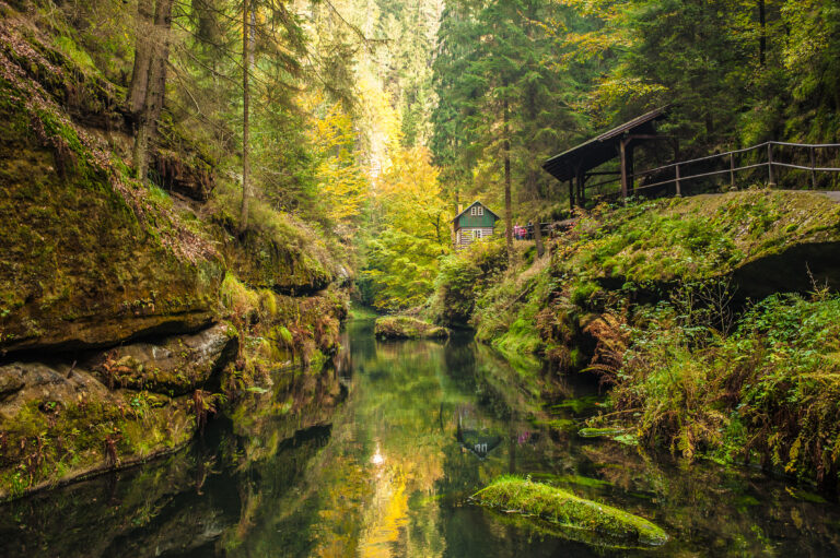 picturesque view of hrensko national park, situated in bohemian switzerland, czech republic