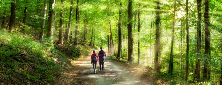 aktivurlaub im frühling bei einer wanderung im wald